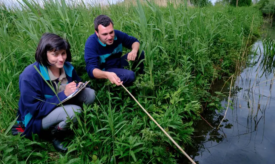 Two people on the bank of a waterway examining it and taking notes
