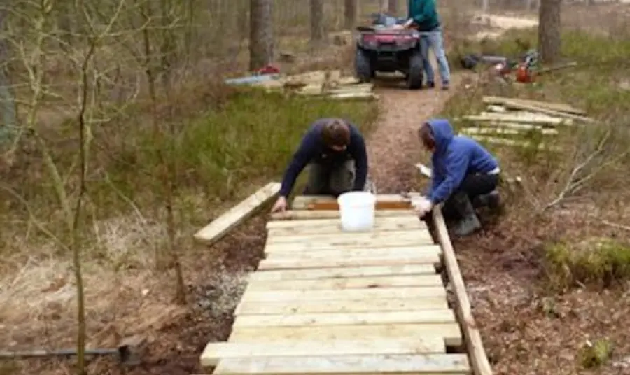 Boardwalk building at Cliburn Moss nature reserve Boardwalk building at Cliburn Moss nature reserve