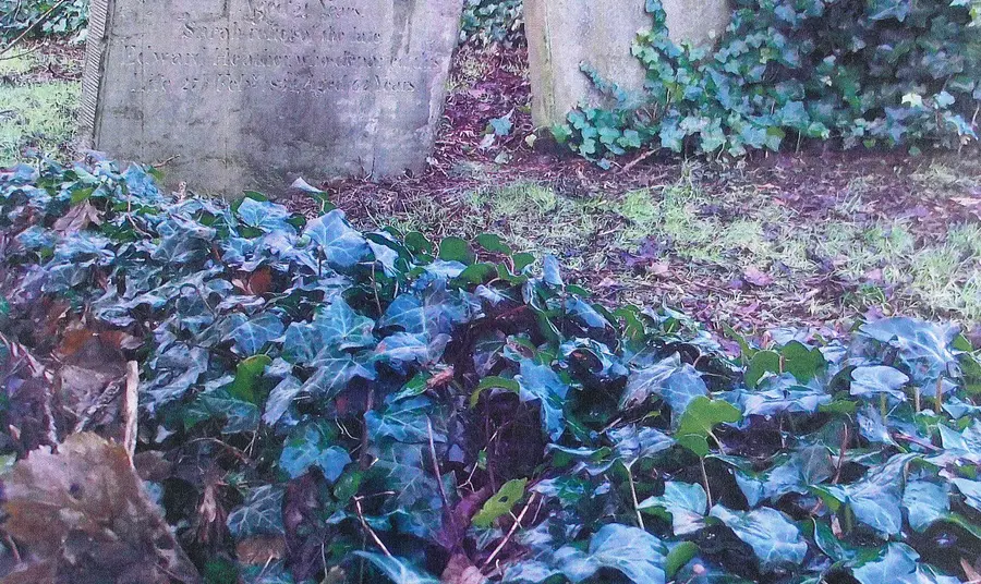 Revealing the heritage of Belfast's Clifton Street Cemetery Historic gravestones at Clifton Street Cemetery, Belfast