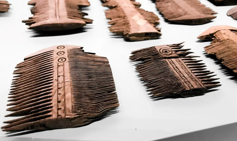 Wooden Roman combs now on display at Vindolanda
