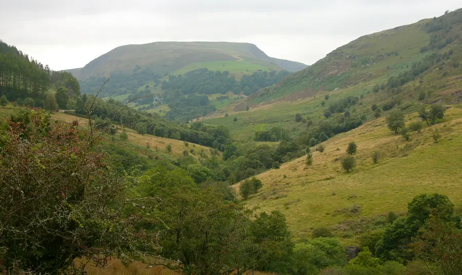 £1miliwn cefnogaeth gan CDL i ddiogelu amgylcheddau Cymru Tirwedd Gwarchodfa Natur Gilfach