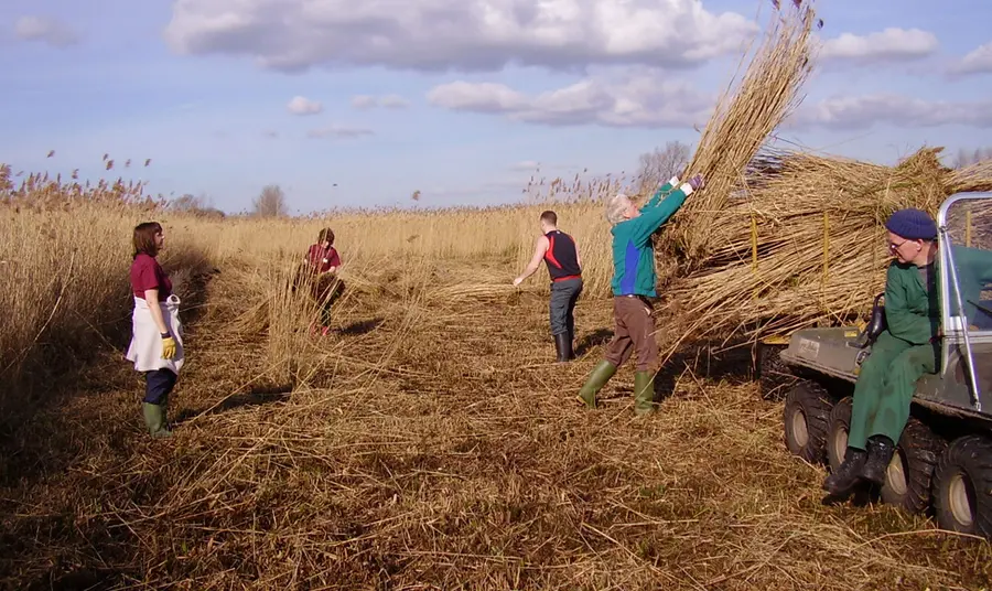 Secrets of the Second World War revealed in the Great Fen The Great Fen is one of the largest restoration projects of its type in Europe