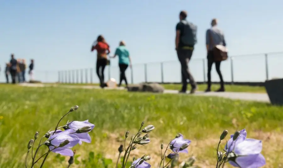 The living grassland roof at The Sill, Northumberland National Park