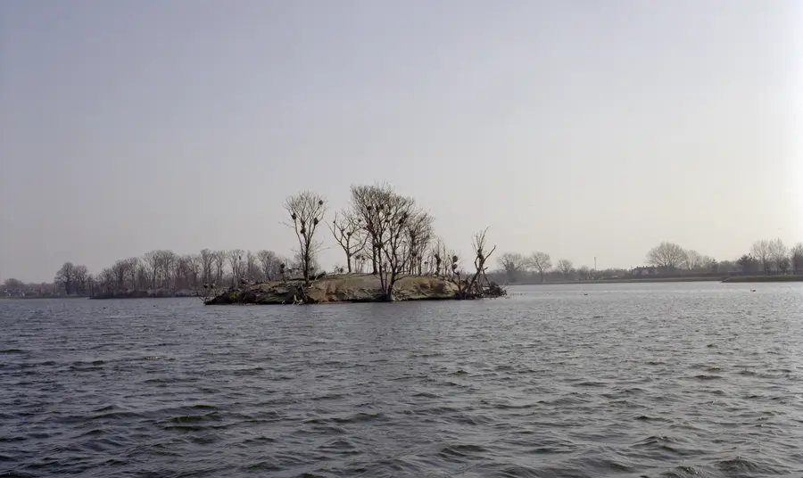 Reservoirs to be transformed into new wetlands for London View of Walthamstow Reservoirs
