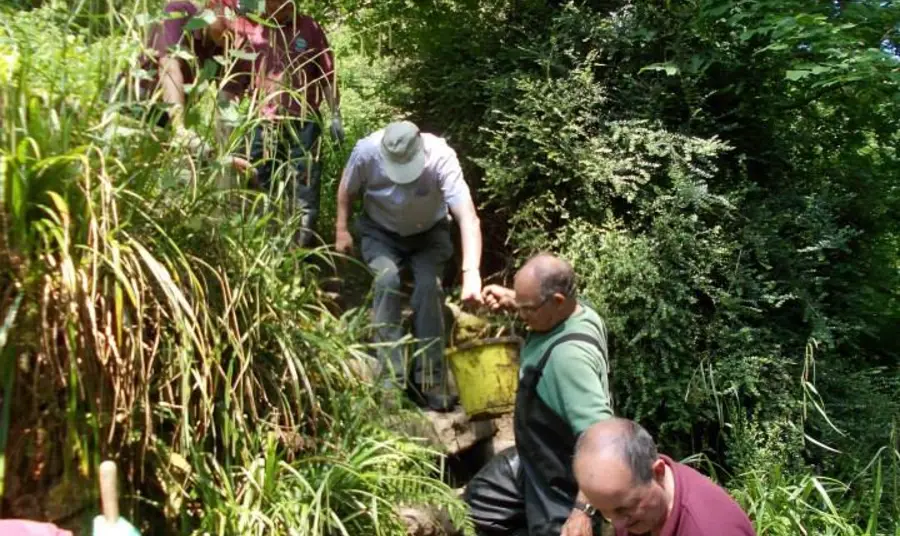Volunteers help to clean the springs at Ninesprings