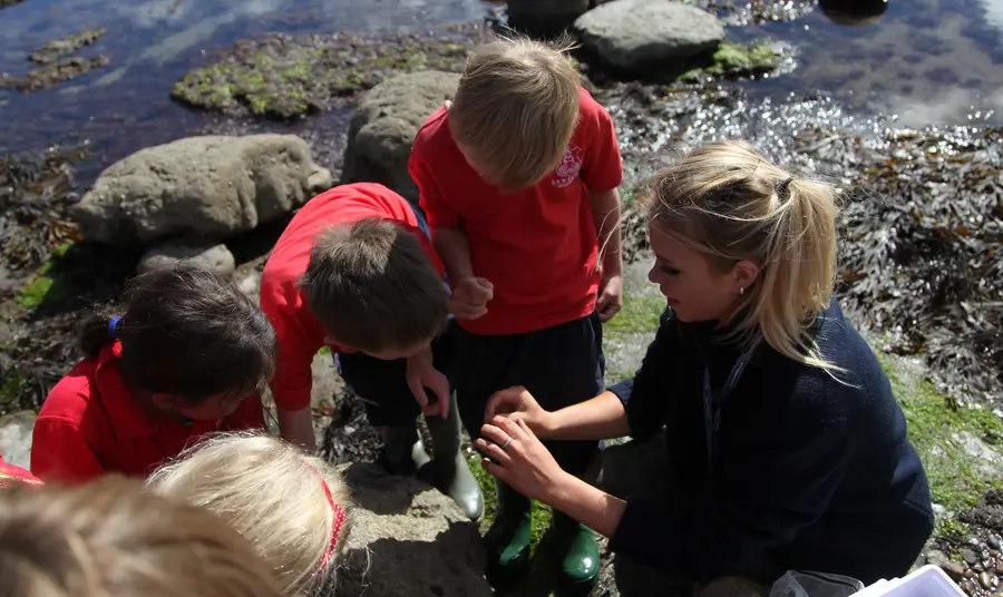 Rockpooling on the beach where Mary Anning made her discoveries