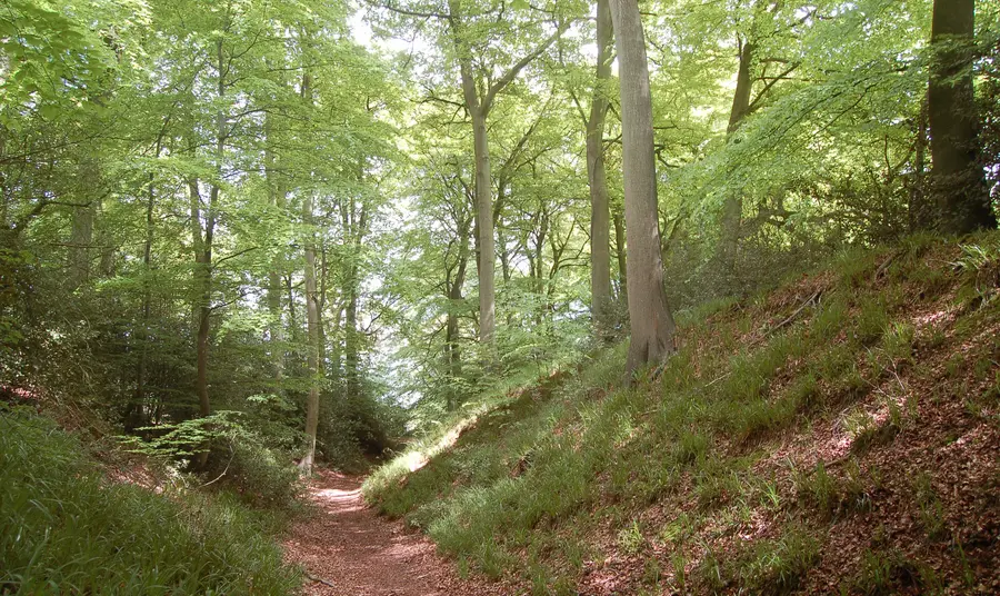 Cholesbury Camp hillfort in Buckinghamshire