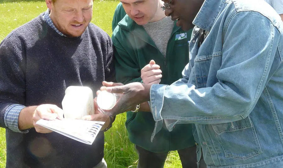 More training opportunities for biodiversity volunteers Participants in an entomology study