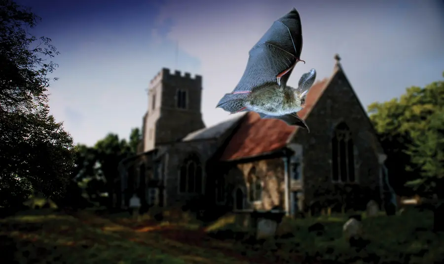 A bat flies past a church