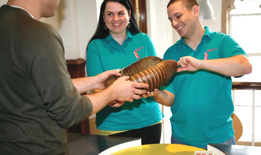 Volunteers showing handling objects at the Migration Museum Volunteers showing handling objects at the Migration Museum