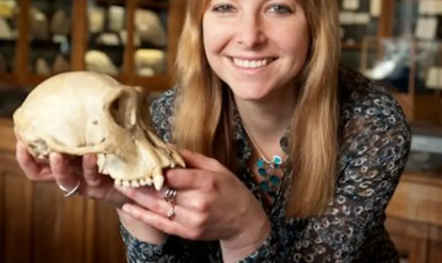 Finalists revealed for Museum of the Year 2017 Professor Alice Roberts at Lapworth Museum