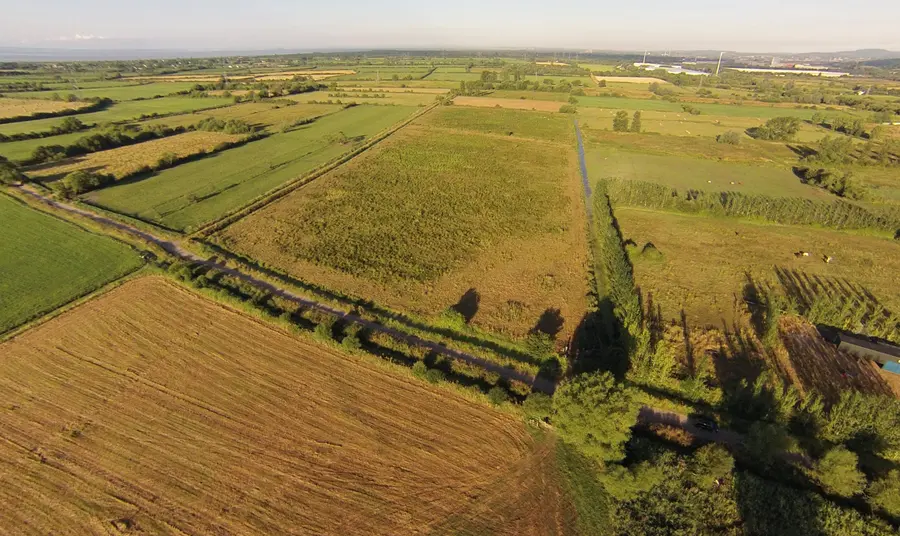 The Gwent Levels