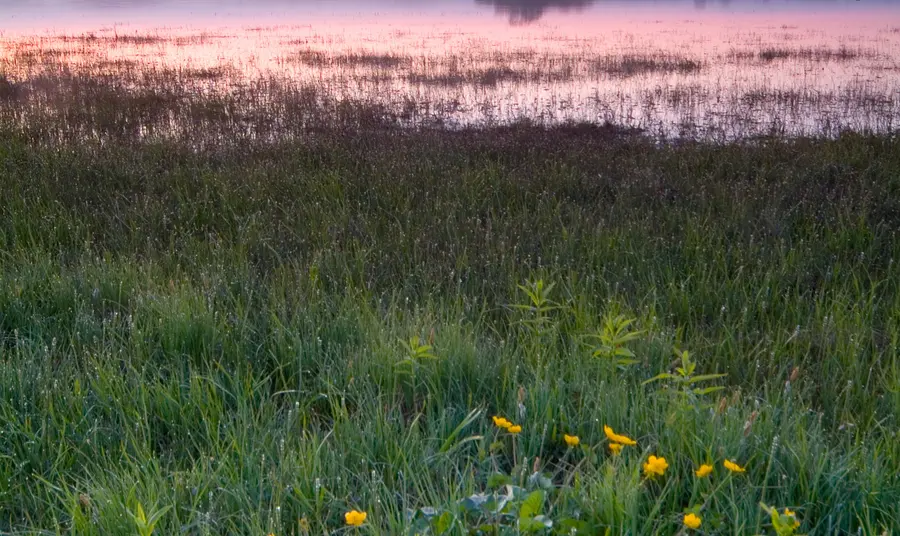Lough Neagh awarded Landscape Partnership grant Lough Neagh at dusk