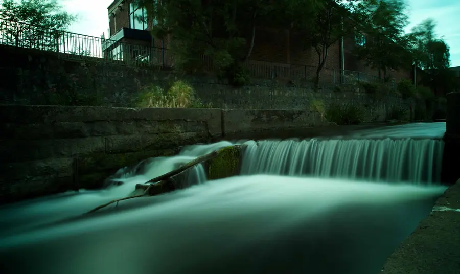 Heritage of the River Skerne will be celebrated