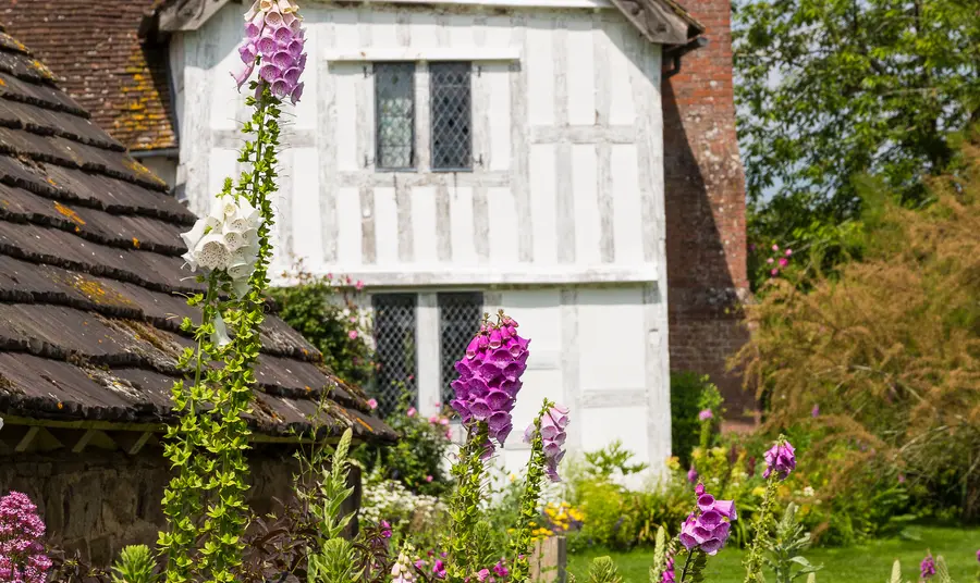 Brockhampton Estate’s Summer of Archaeology to shine with Lottery support Brockhampton Estate House