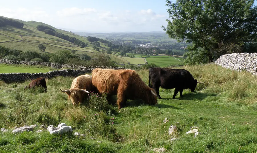 The Yorkshire Dales hide some incredible cave systems