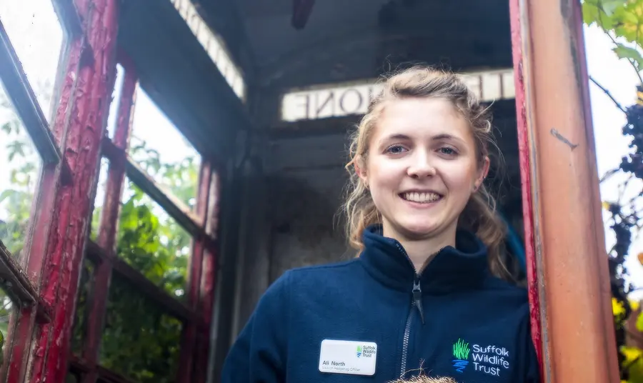 Ali North of Suffolk Wildlife Trust holds a hedgehog