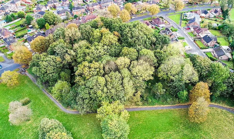 The Brundit woodlands, Wythenshawe, Manchester