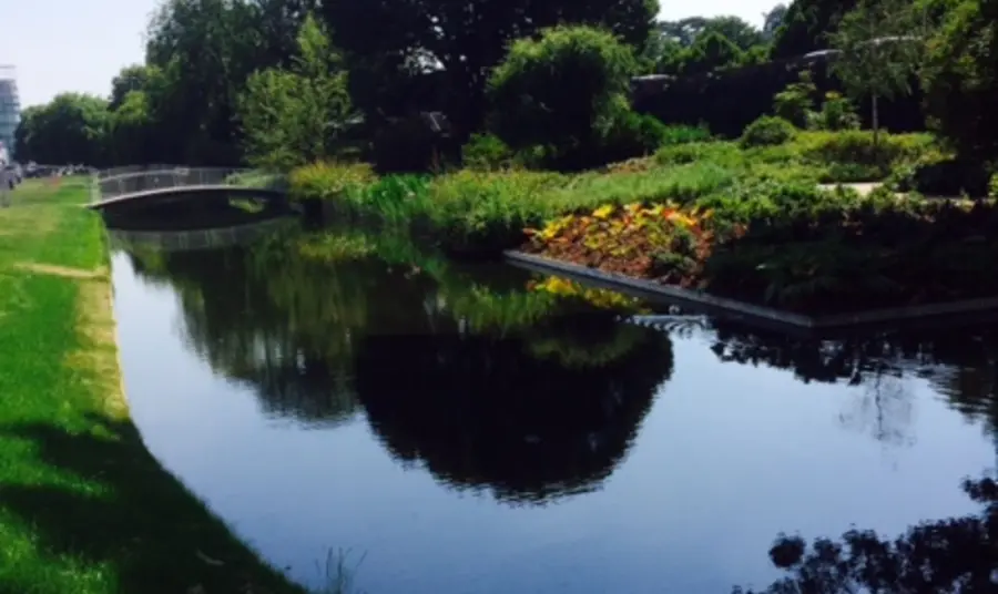 Jellicoe Water Gardens flourish thanks to National Lottery players Jellicoe Water Gardens