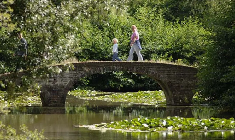 Visitors enjoying Staunton Country Park