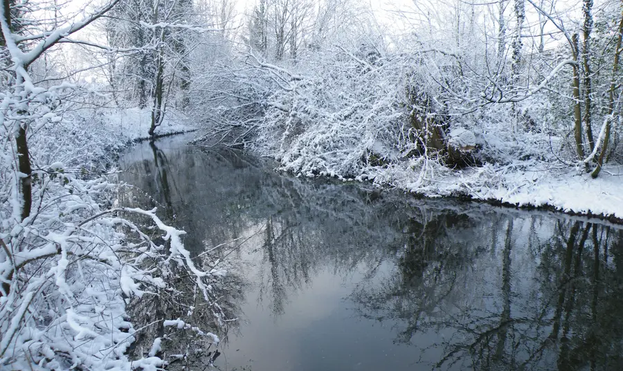 Hampshire's River Itchen