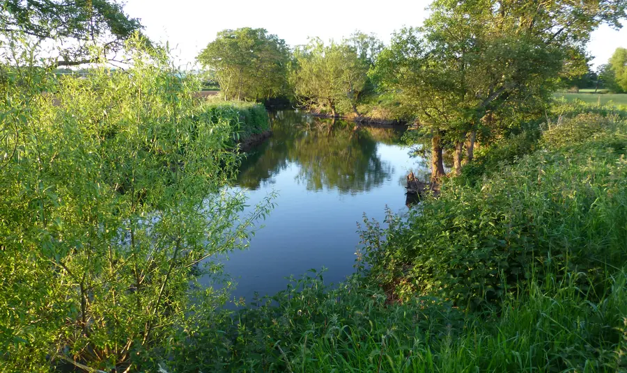 View of the River Tone