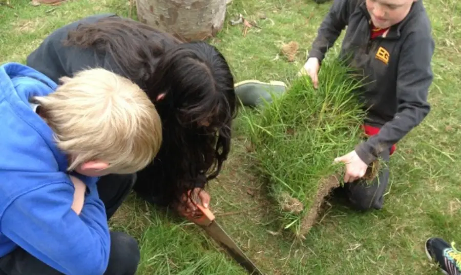 Participants in the project handle the turf