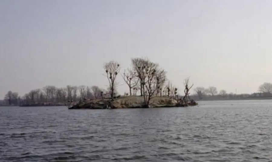 The Walthamstow Reservoirs site in North East London