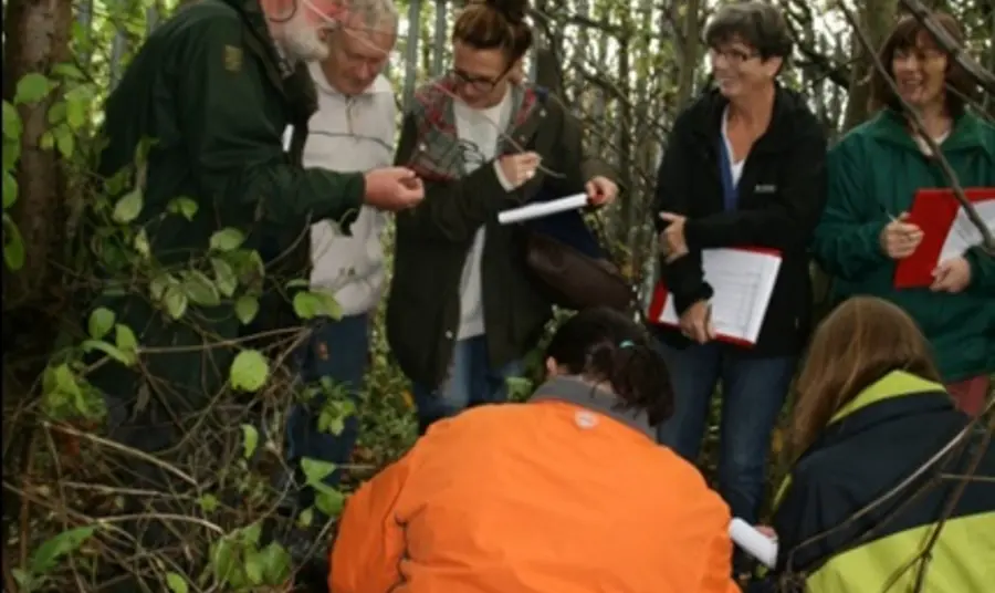 Volunteers learning new environmental surveying techniques