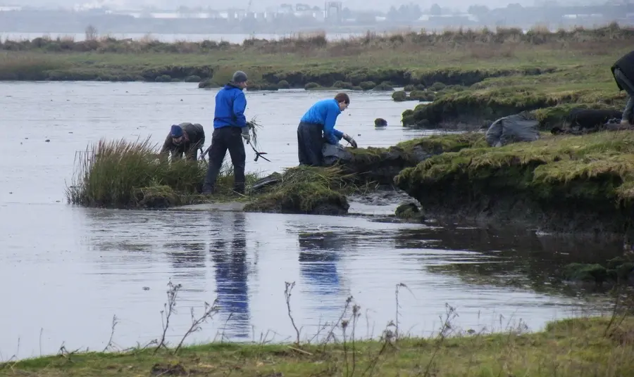 Conservation volunteers at Kinneil lagoons