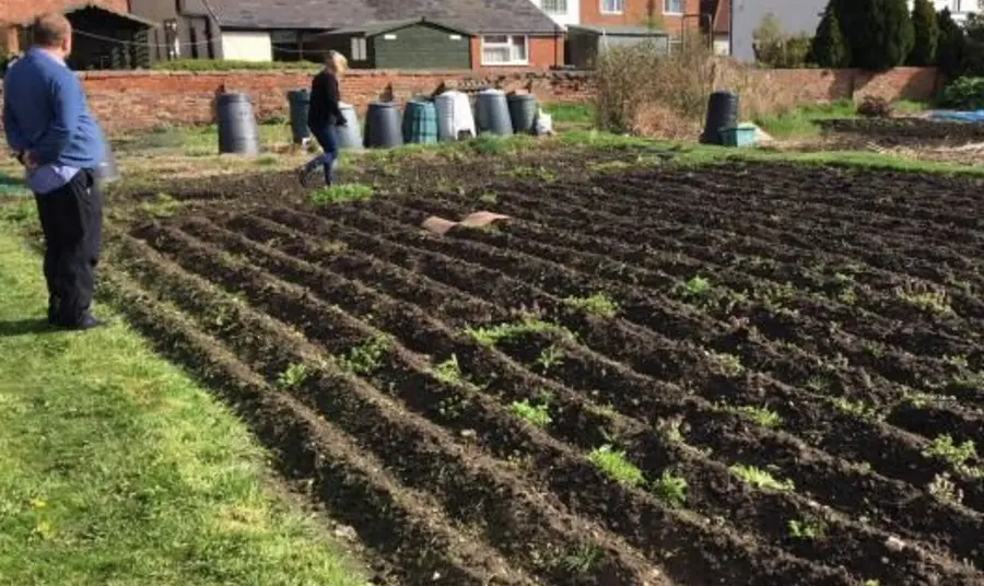 An allotment