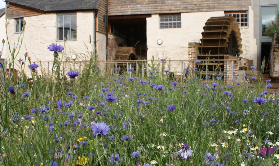 Exterior of Cricklepit Mill