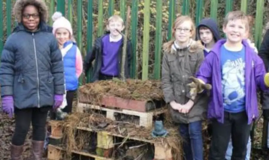 Children turn old wooden pallets into homes for hedgehogs to hibernate in