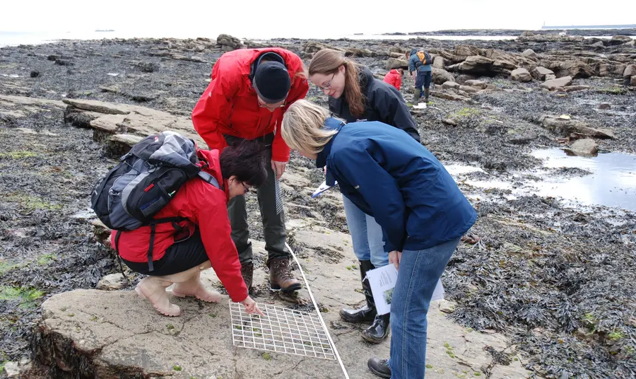 Volunteers undertaking survey work on the shoreline