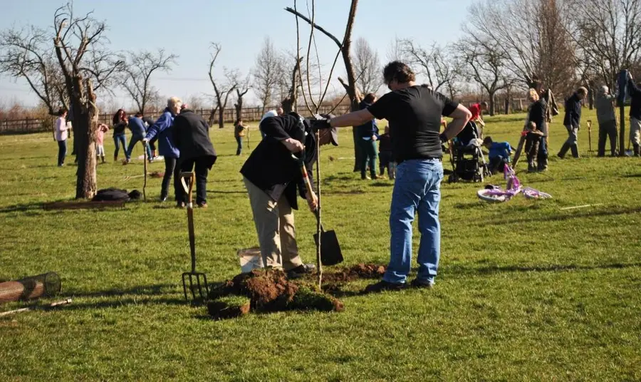 Kent's Orchards for Everyone