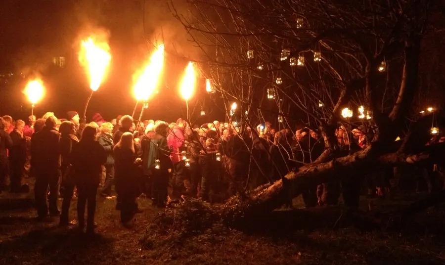 A torch-lit community orchard event