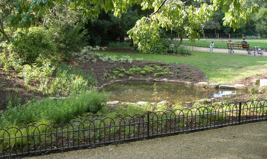 Pond and park bench in Peckham Rye Park