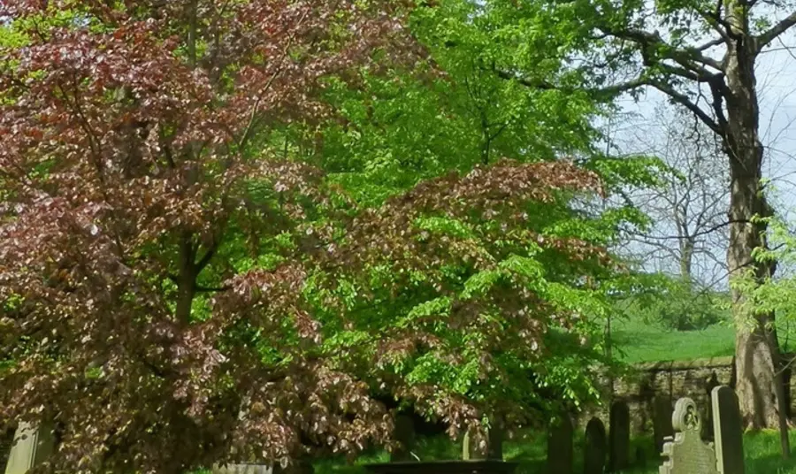 Raikes Road Burial Ground