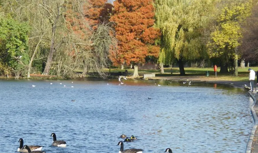 The lake in Raphael Park