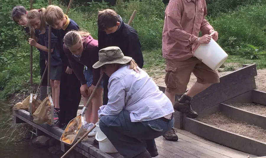 Local school children have a go at pond dipping