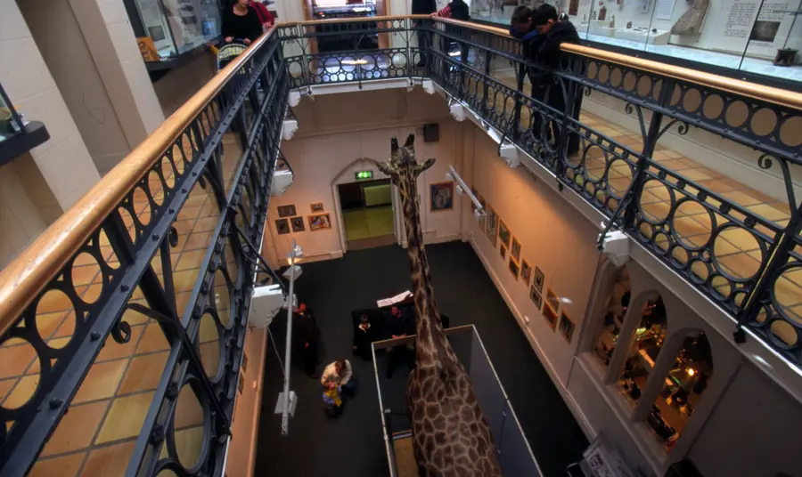Inside view of the Royal Albert Memorial Museum, Exeter