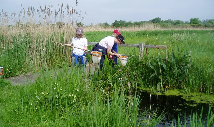 Children with nets explore Darlow's Farm