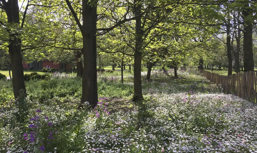 Whitworth Park