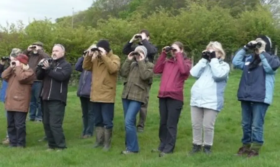Birdwatchers at work