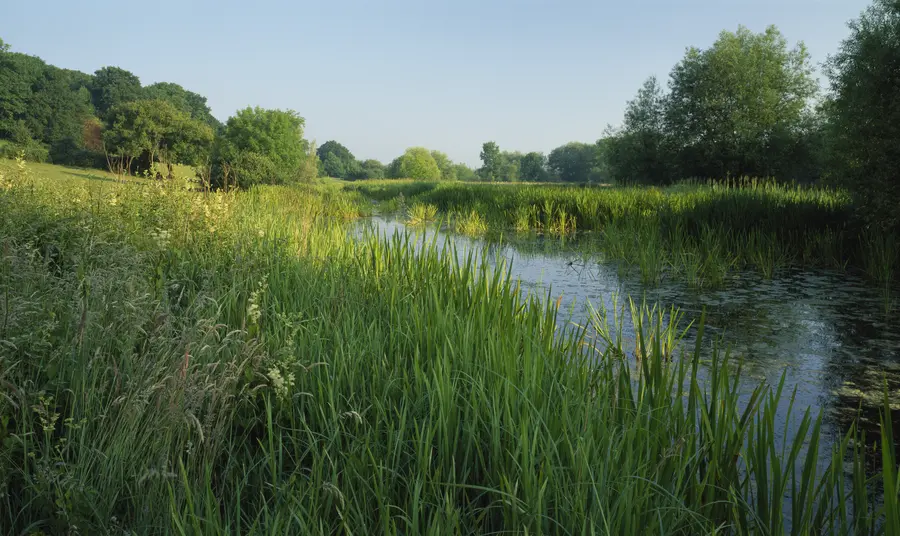 The River Thames at Runnymede