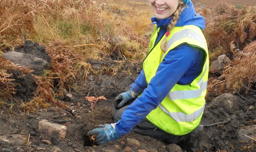 A woman plants trees