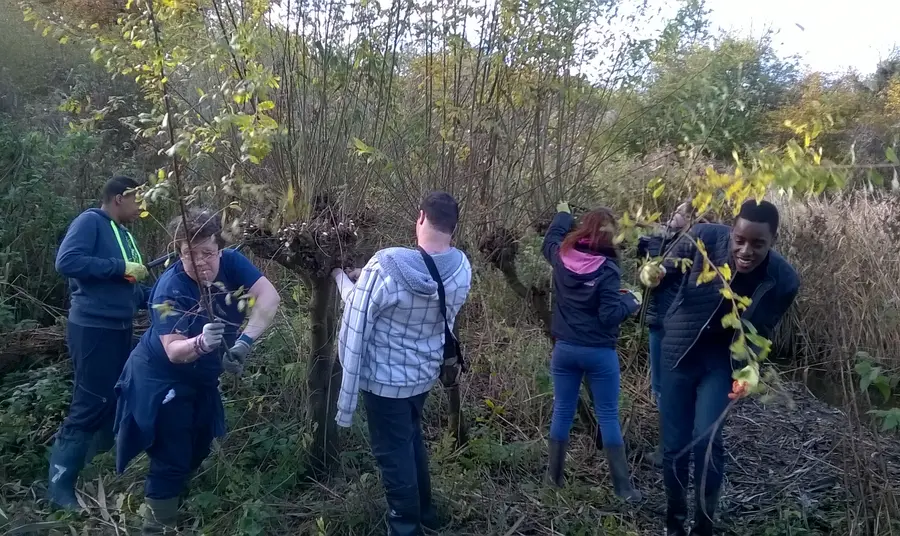 Young visions for Crane Park Island Young people exploring nature
