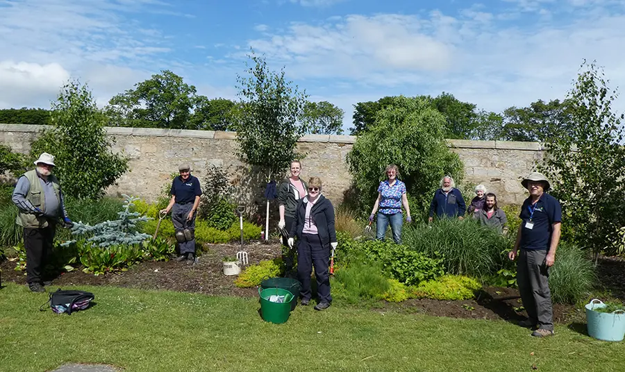 Volunteers stand in a walled garden planting different plants and trees in a border