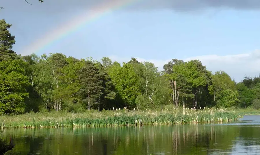 A rainbow shines over Stover Lake.