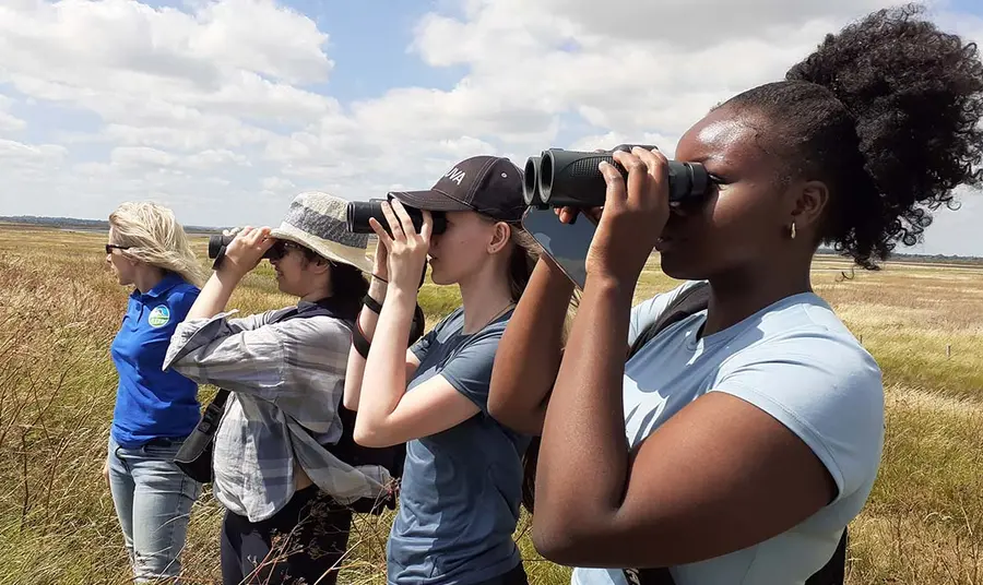 A group of four young people look through binoculars on a landscape.
